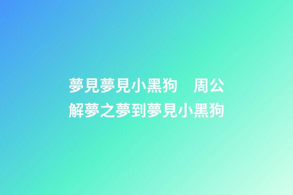 夢見夢見小黑狗　周公解夢之夢到夢見小黑狗